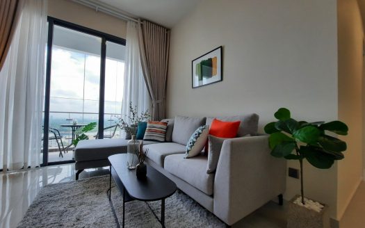 Apartment for rent in Q2 Thao Dien - Living room
