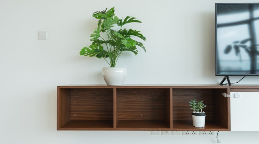 Wooden shelves and nice ornamental trees