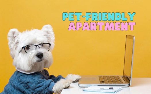 Which apartment allows pet in Ho Chi Minh City? Top 5 most Pet-friendly apartment