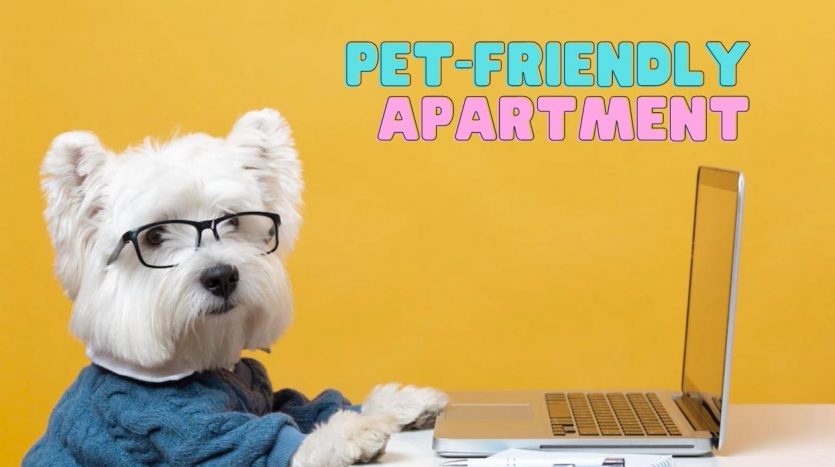 Which apartment allows pet in Ho Chi Minh City? Top 5 most Pet-friendly apartment