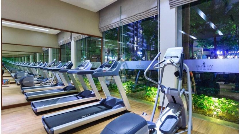 Modern gym in Vihomes Central Park