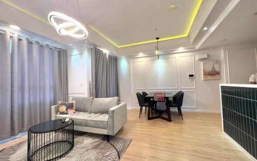 New furniture apartment in Thao Dien District 2