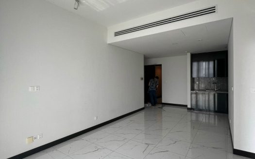 unfurnished 1 bedroom apartment for rent in Empire City