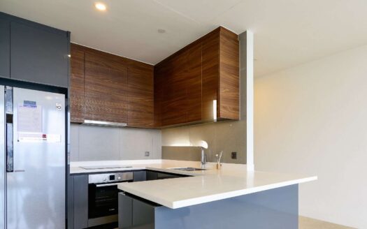 Nassim 2 bedroom apartment for rent river view Thao Dien area