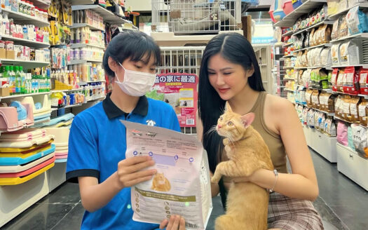 Pet Shops in Ho Chi Minh City: Where Expats Buy Pet Food (2026)