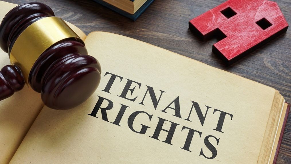 understand your tenant rights