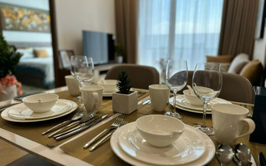 Lumiere 1 bedroom rental fully furnished, stylish decor