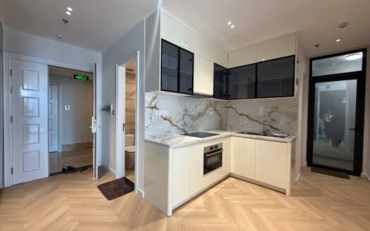 Vinhomes Ba Son 2BR for rent river view, modern furniture