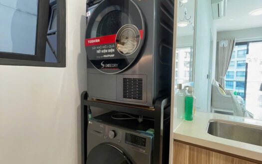 fully furnished 1 bedroom apartment for rent Q2 Fraser Thao Dien