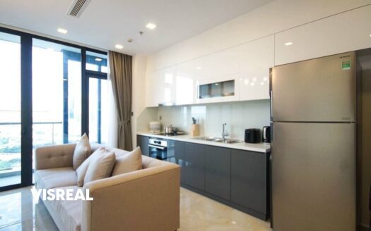 2 bedroom for rent in Aqua 3 Vinhomes Golden River | City view